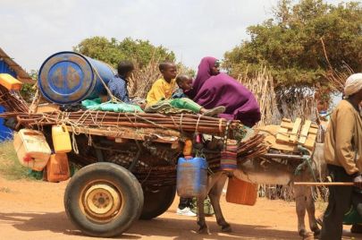 نازحون سودانيون من الحرب