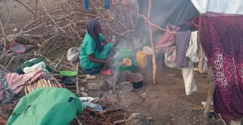 أوضاع مزرية يعاني منها السودانيون في غابات أثيوبيا (منصة إكس)
